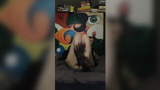 Feet tease with african toenails, twat as peak