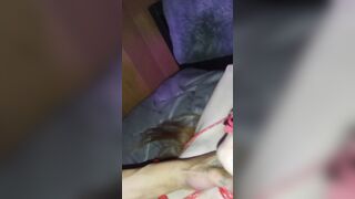 Sweet slave swallows