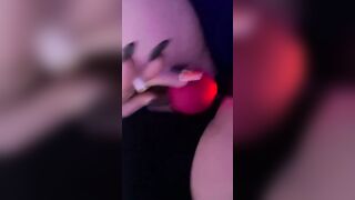 Allie Smokes and plays with her favorite rose 