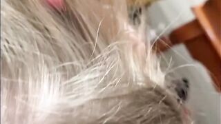 Milf sucks neighbours dick after drinking(REAL)
