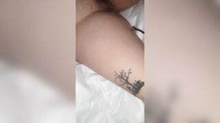 wartenberg wheel