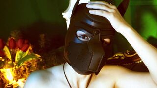 BONDAGE. goddess women. Mask Dog