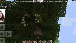 Minecraft Gameplay #2 / getting wood to start building a house // WITH FACECAM