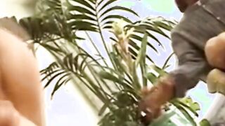 Watching His Exotic Ex-Wife Boned A Strange Man Making Moment