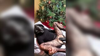Squirting around the Christmas Tree