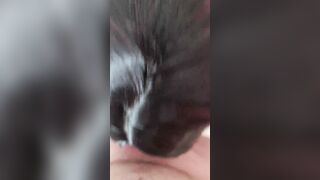 Hispanic Huge boobies Tinder Date blows biggest white penis and drink cum