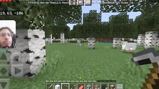 Minecraft gameplay // hunting food //
