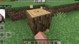 Minecraft Gameplay / i pass away inside the game and have to find my items // WITH FACECAM