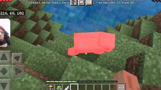 Minecraft Gameplay / i pass away inside the game and have to find my items // WITH FACECAM