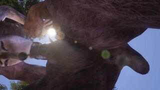 Furry Female Wolf & Rhino Plowed Rough (Some Peeing) | Wild Life Furries