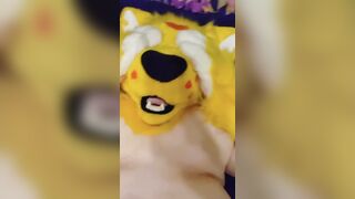 Pawjob and a screwed
