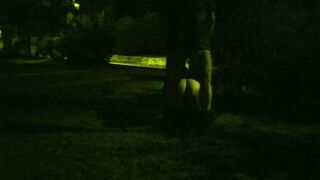 Training a skank's wifey into a outdoor park.