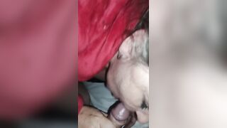 My Beauty ex-wife giving me bj. Incredible little cocksucker .