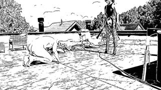 The owner walks the dog. My obedient dog with a penis inside his butt.