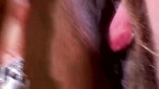 Hispanic mom Getting Her Interracial Sex Session Moment