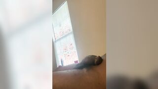 Black bbw blowjob