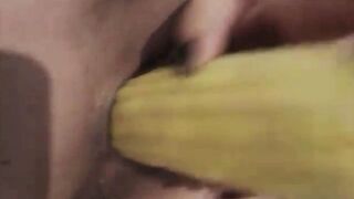 Chubby soak vagina screwed with corn rough