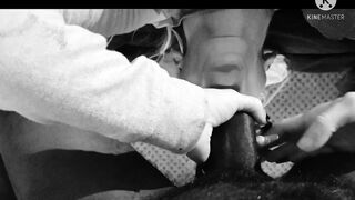 Yin And Yang Throated at White Castle bigblacksnake4u2