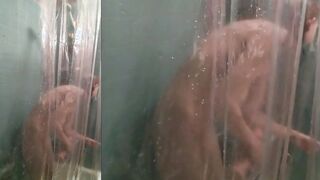 Willamina showers and Masturbates