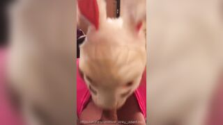Bunny rabbit crazy mask big jugs pov deeply oral sex cum into mouth oral jizzed (end on my site)