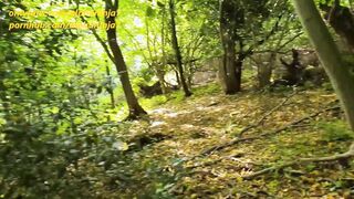 Forest Parks Make Me Wanna Banged