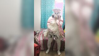 LATEX Pvc Sissy Cosplay does breathplay and sex toy, Card Sakura