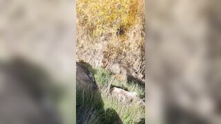 Hiking up to outside road nude
