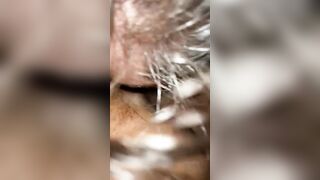 BBW HISPANIC CREAMPIE