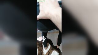 Cumming into my underwear and pull them up before family dinner (fucking stepmom thight cunt)