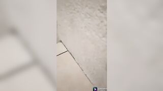 Stepbrother Kuya kinantot ang kapatid nahuling nag sasarili pinutukan sa bibig