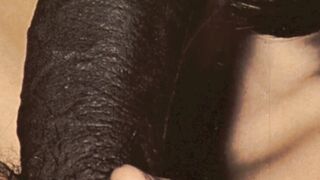 Dark Lantern Entertainment presents 'Retro Interracial' from My Concealed Life,