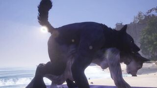 Rahn The Wolf Makes Love with Rasha Wolf By The Ocean (point of view & Cum Shots) | Wild Life