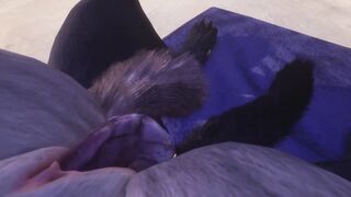 Rahn The Wolf Makes Love with Rasha Wolf By The Ocean (point of view & Cum Shots) | Wild Life