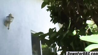 DOWN FOR big black cock - Lisa Ann monster big black cock destroys milfs