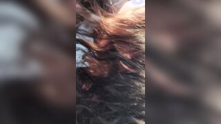Road blowjob Cutie small skank blowing cock on a road trip