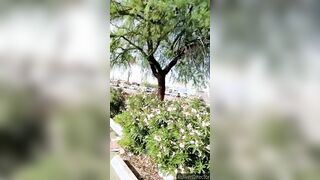 Unshaved twat pee pissing inside a outdoor parking lot! Older Hispanic grandmother
