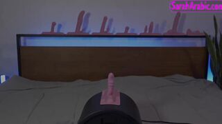 MotorBunny Series Intro