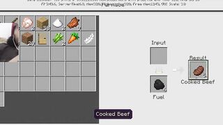 Minecraft Gameplay / mining coal and getting food To survive // WITH FACECAM