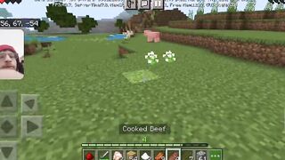 Minecraft Gameplay / mining coal and getting food To survive // WITH FACECAM