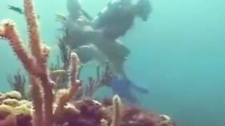 Maglaro tayo sa ilalim ng dagat