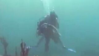 Maglaro tayo sa ilalim ng dagat