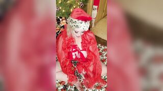 BBW long belly  under the Christmas Tree 2021