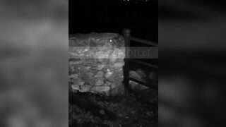 Scopata da un cazzone al chiaro di luna con sborrata sul culo.