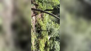 Hammock sex