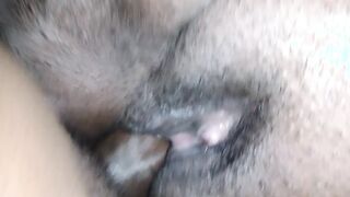 Neighbors sneaking again