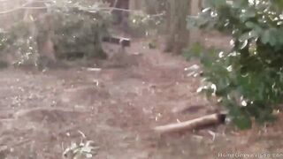 Adorable women blows her boyfriends penis at the park