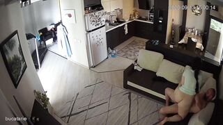 WH-IP-013. IP Cameras