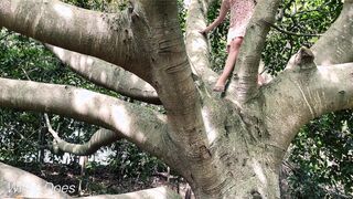 Wifes outside tree climbing no lingerie outside nudity