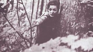 Dark Lantern Entertainment Presenys, 'Classic Picture Stories'