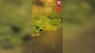 Nude outdoors flashing